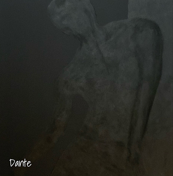 DANTE by Bobby Fouther