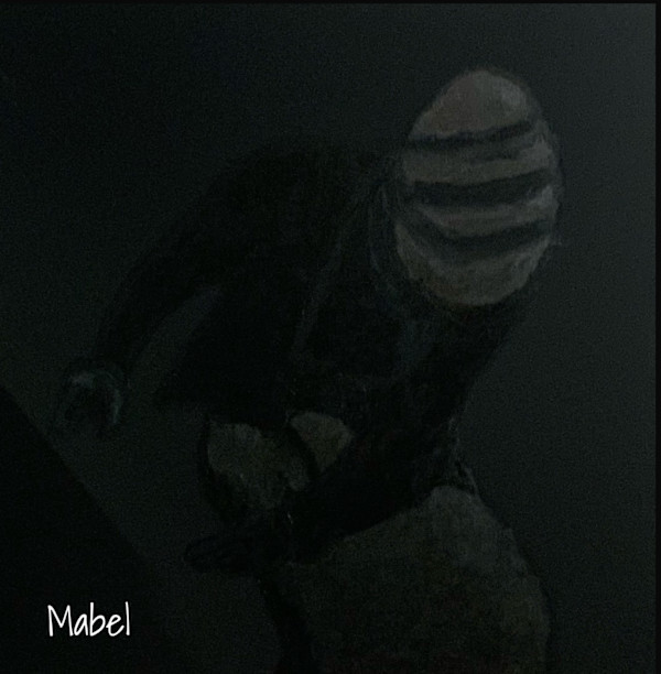 MABEL by Bobby Fouther