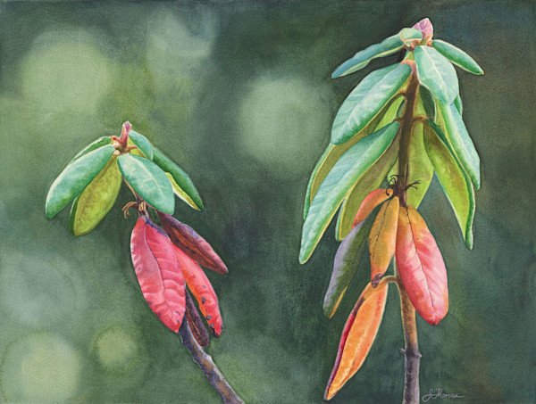 Labrador Sisters by Jessica Reid Thomas, Image 1.