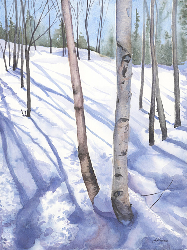 Snow Shadows by Jessica Reid Thomas, Image 1.