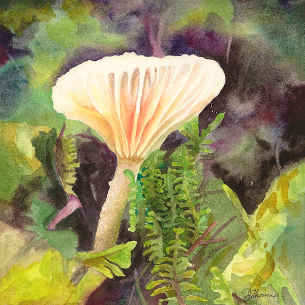 Small White Mushroom by Jessica Reid Thomas, Image 1.