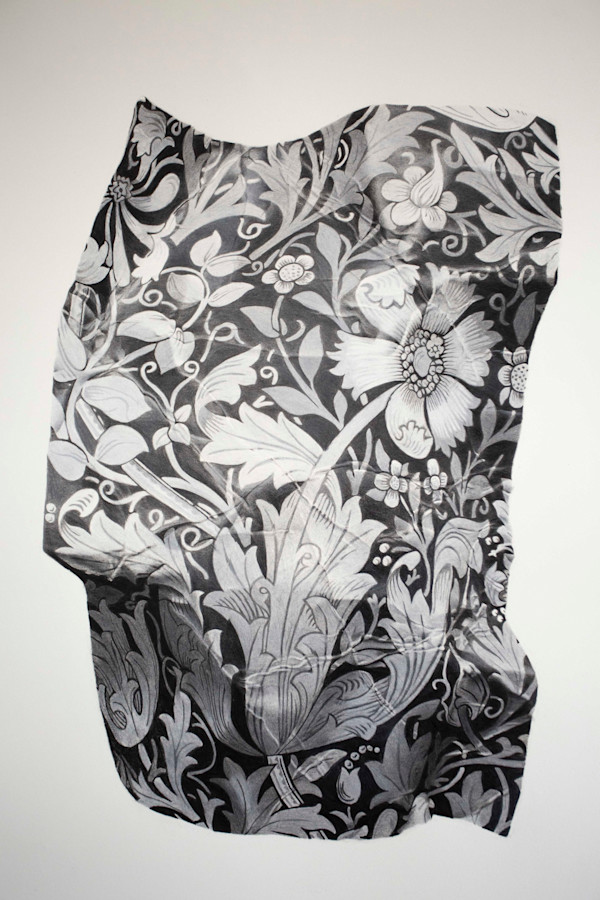 Morris Convex, Image 1.