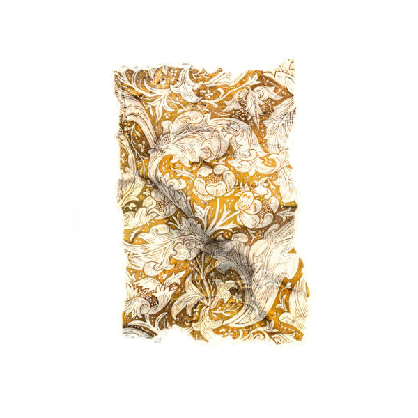 Yellow, Image 2.