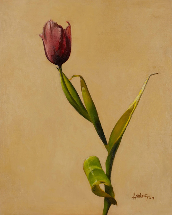 Tulip by Ashlie Tran, Image 1.