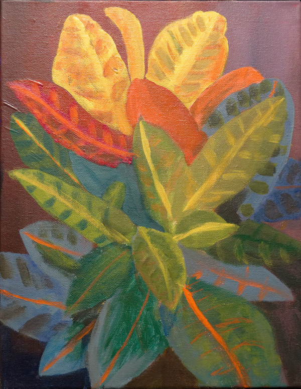 Croton Plant by David Allen