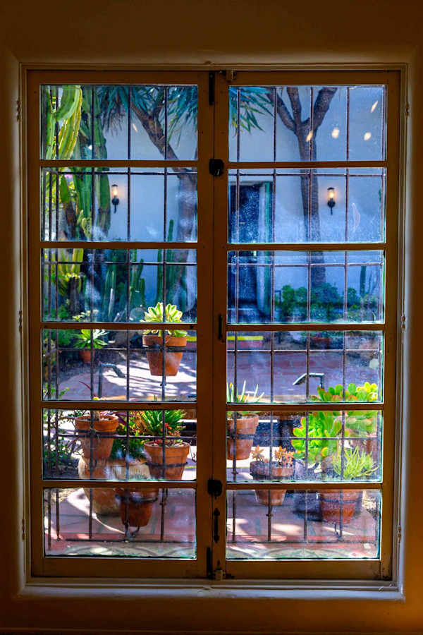 Garden Window by Marcella Apodaca