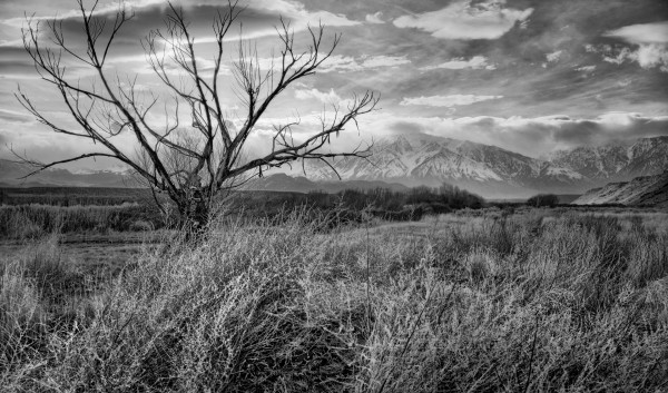 Alone, Owens River by James G. Bardos