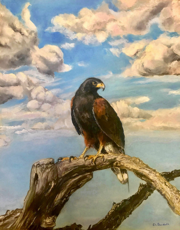 Harris' Hawk on His Sonoran Throne by Carol Bendell