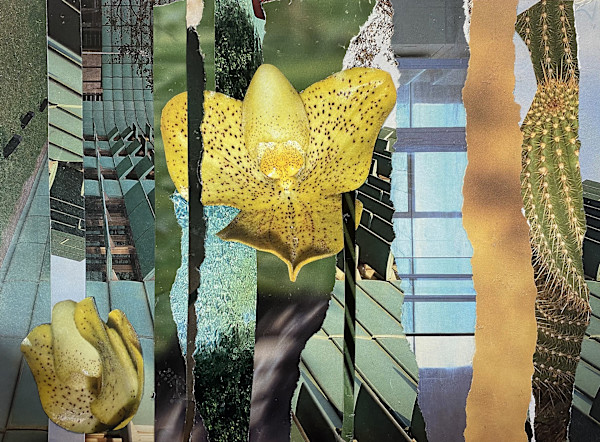 Gold Orchid by Kathleen Bergen