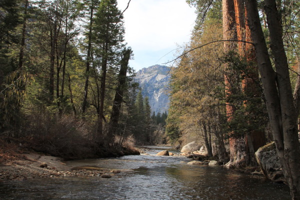 Veiled Sunshine Over Merced River by Shirley Birosik