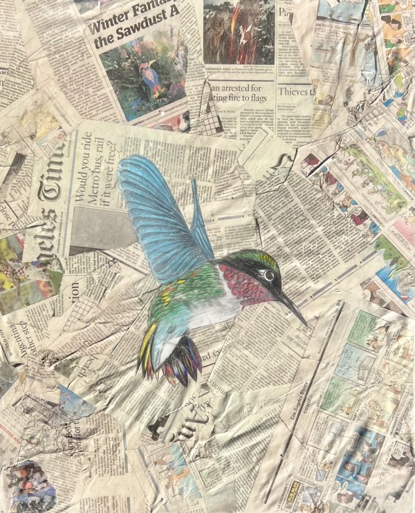 Hummingbird on Newspaper by Anjanette Blanciak