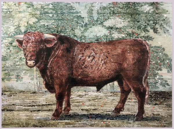 The Bull by Renee Bott