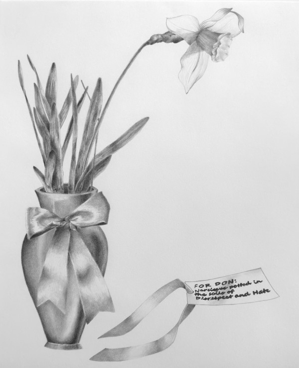 Daffodil Don by Jason Buchanan