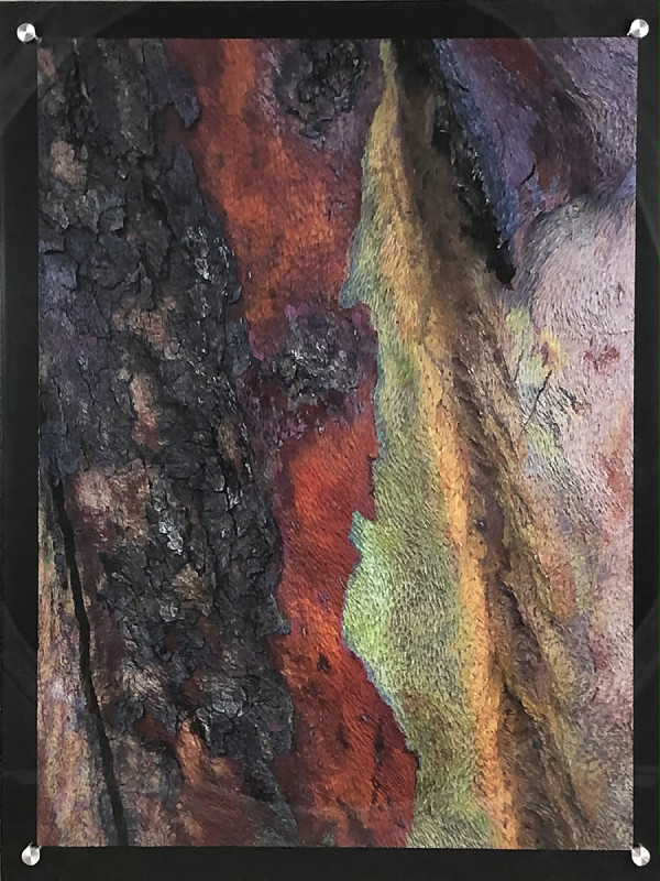 Red and Green Tree Bark 2 by Rhonda C R Burton