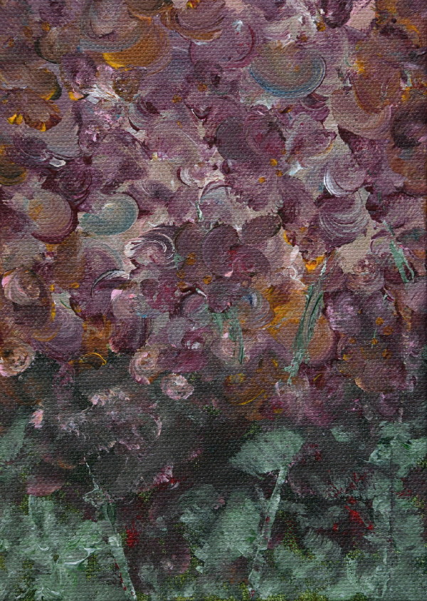 Burgundy Hydrangea by Amy Cabaniss
