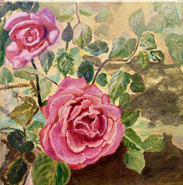 Radiant Rose by Joanne Cali