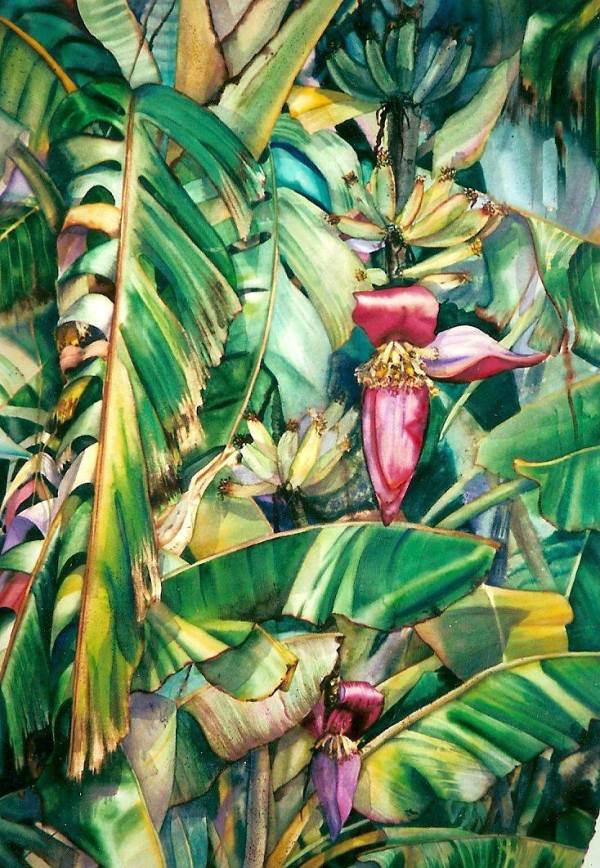 Banana Leaves Costa Rica by Sandra Shelton Campbell