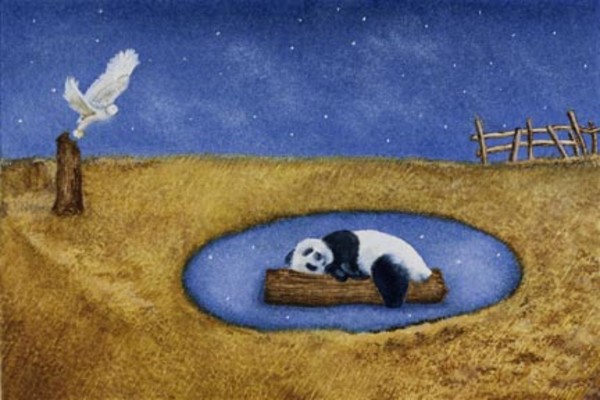 Lost Series: Panda by Carol Salisbury