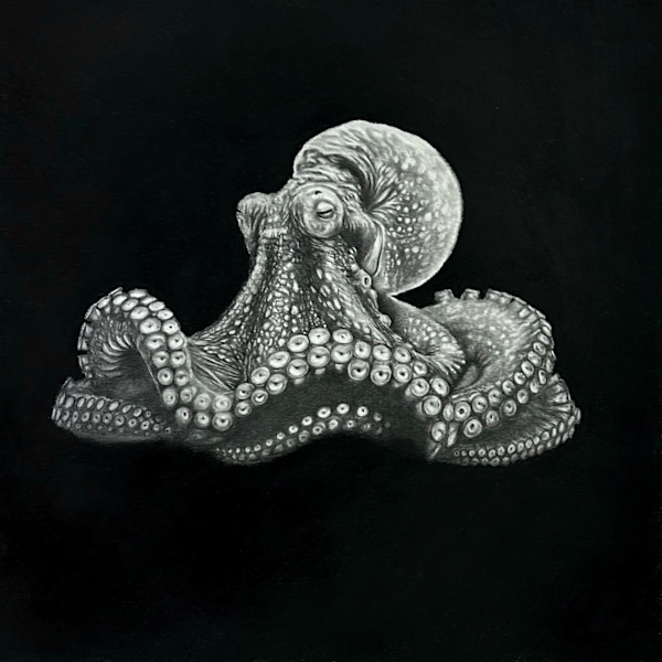 Senesence by Thomas Ciccone, Image 1.