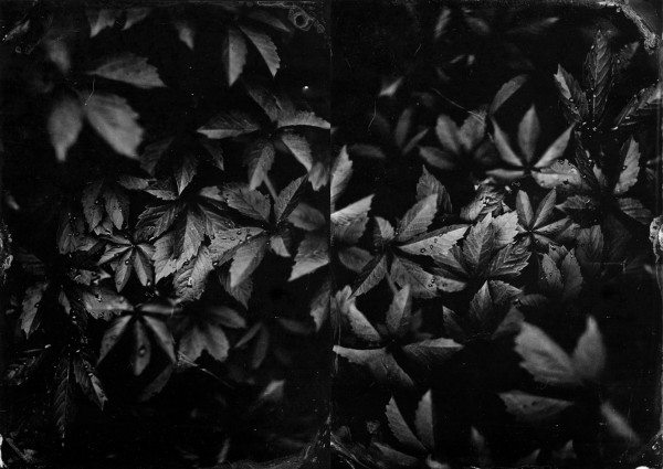 Everything Will Be OK by Kendra Connally