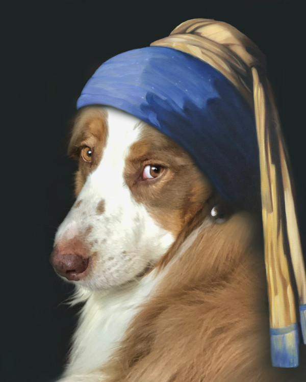 Toby with a Pearl Earring by Susan Coppock