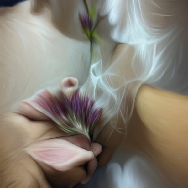 Sometimes I Catch Your Scent and It Reminds Me of All Our Memories by Megan DelCamp
