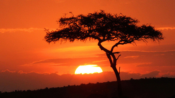 African Sunset by Thomas Debley