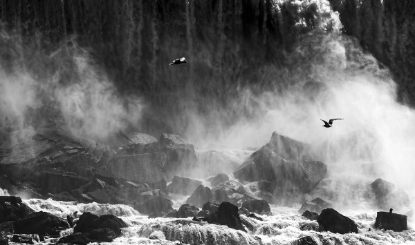 Birds and Falls by William Dusterwald