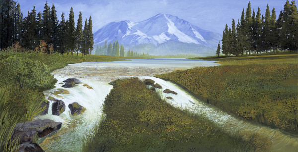 Mt. Shasta Meadow by Robert Duvall