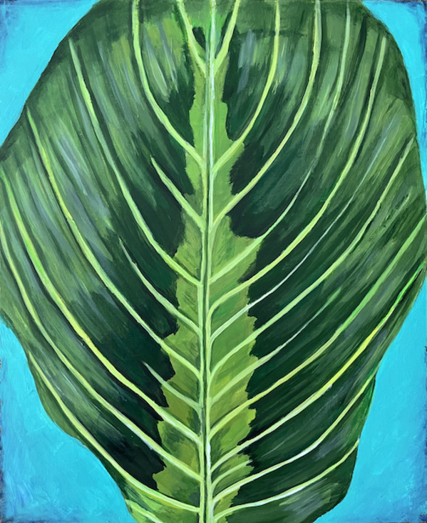 Maranta, Prayer Plant Leaf by Kelly Elizabeth