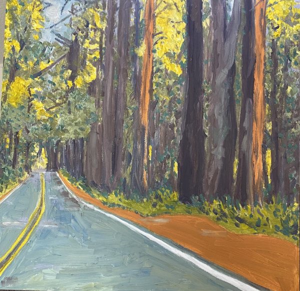 Winding Through Redwoods by Jenny Emerson