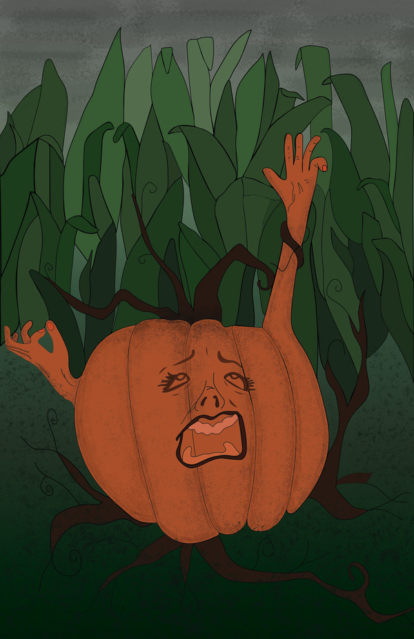 Peter Peter Pumpkin Eater: The Truth by Emily Adams