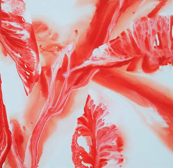 Hibiscus Blooming by Alane Enyart