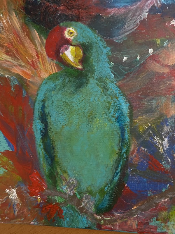 Parrot by Fredda Schiffman Ferguson