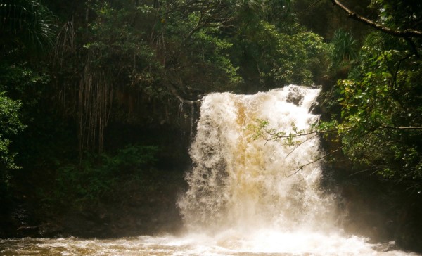 Waterfall by Christopher B. Fowler