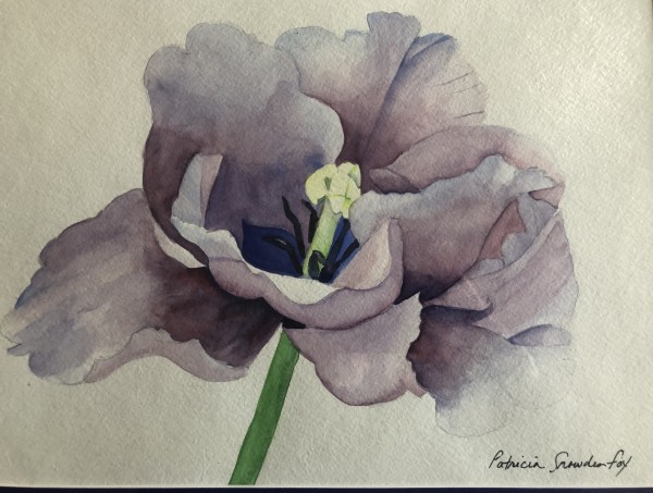 Purple Tulip by Patricia Fox