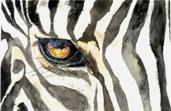 Luscious Lash Zebra by Francess Silveria