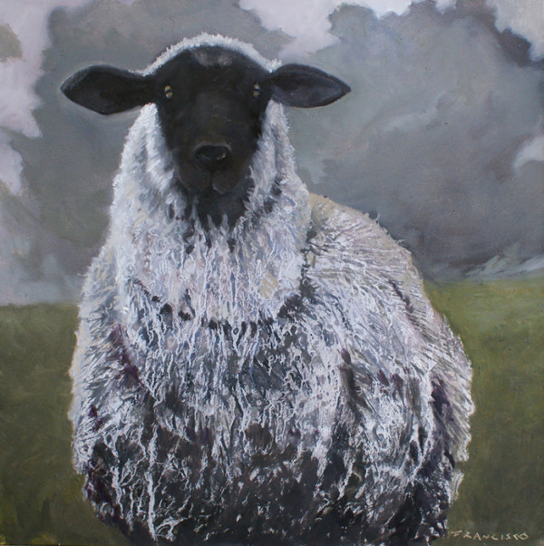 Black Sheep Staring by Ridgely Francisco