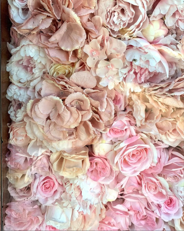 Rose Petals by Robert Gideon