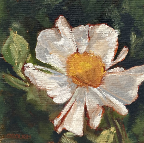Arroyo Flower by Gillian Gough