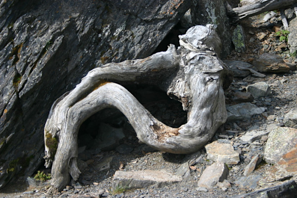 Landscape 2 by Alice Marie Gravely