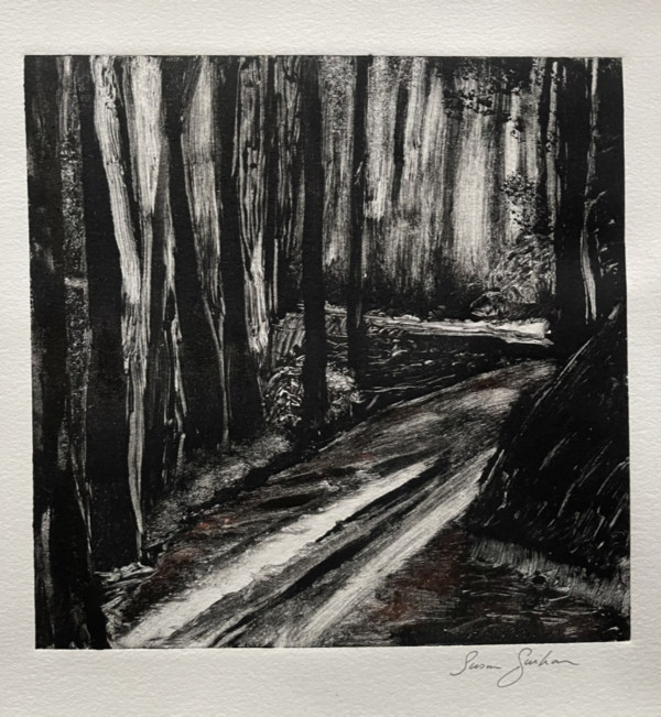 Muir Woods Mystifying Path by Susan Guihan