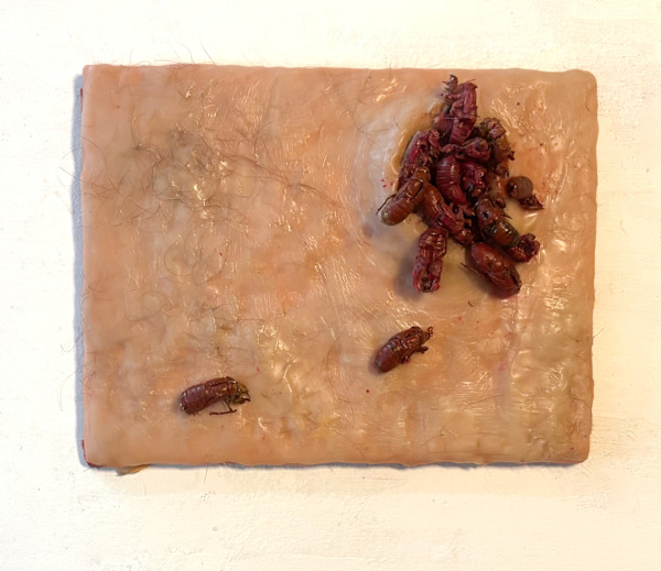 Emergence by Johanna Guilfoyle