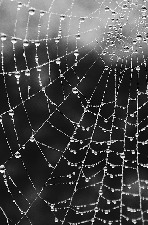 Small Geometry by Parker Holliday