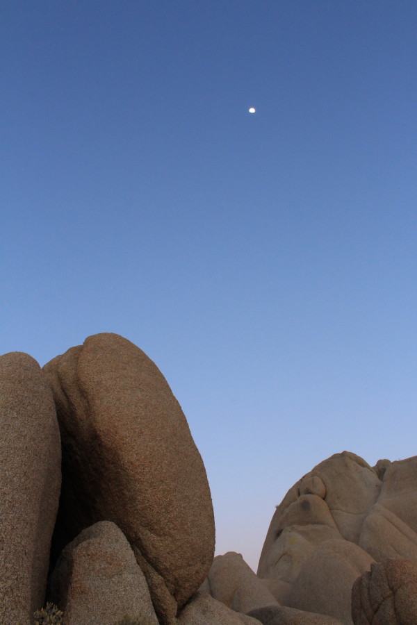 Boulders Under Moon 2 by Carrie Harmon