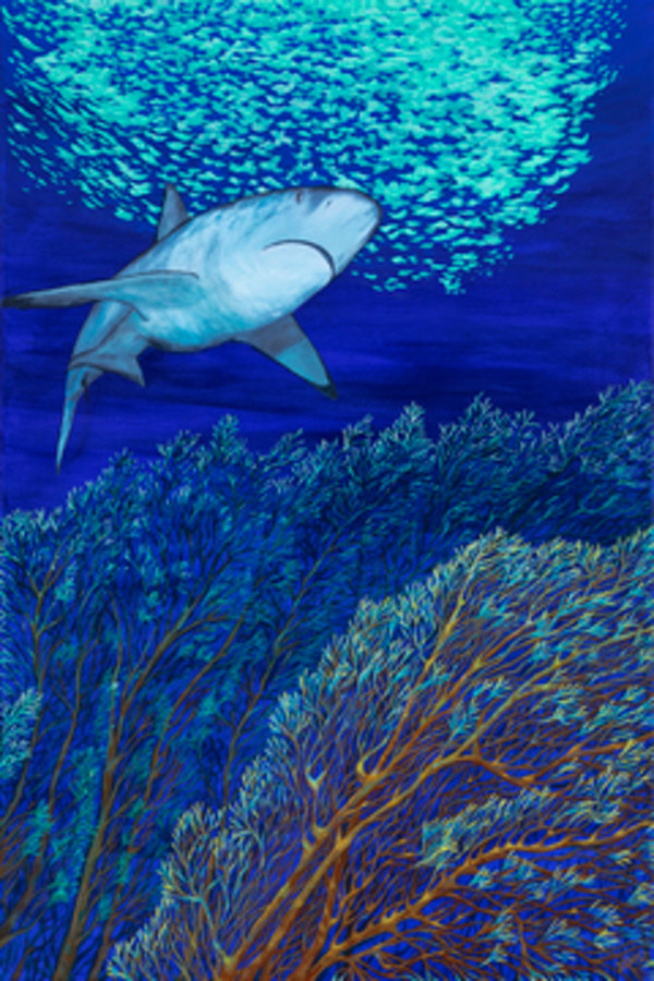 Shark Above by Denise Henderscheid, Image 1.