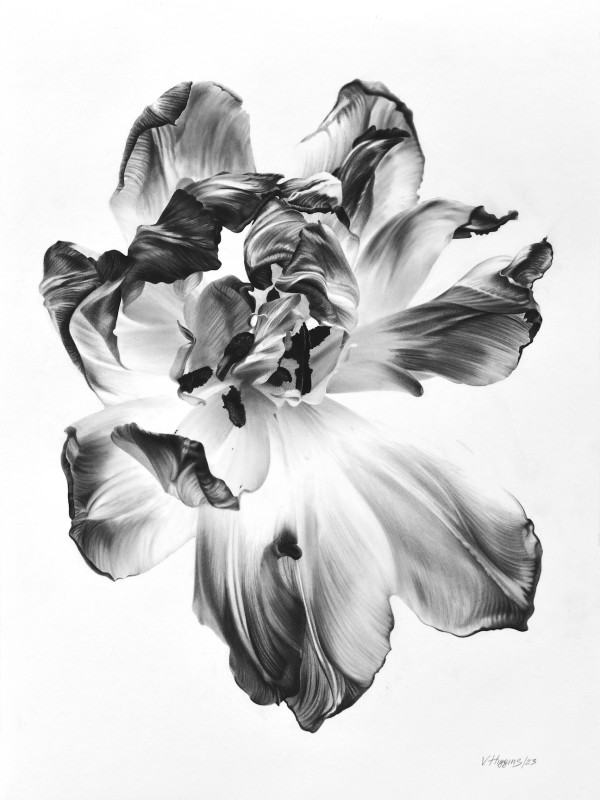 Tulip by Vera Higgins