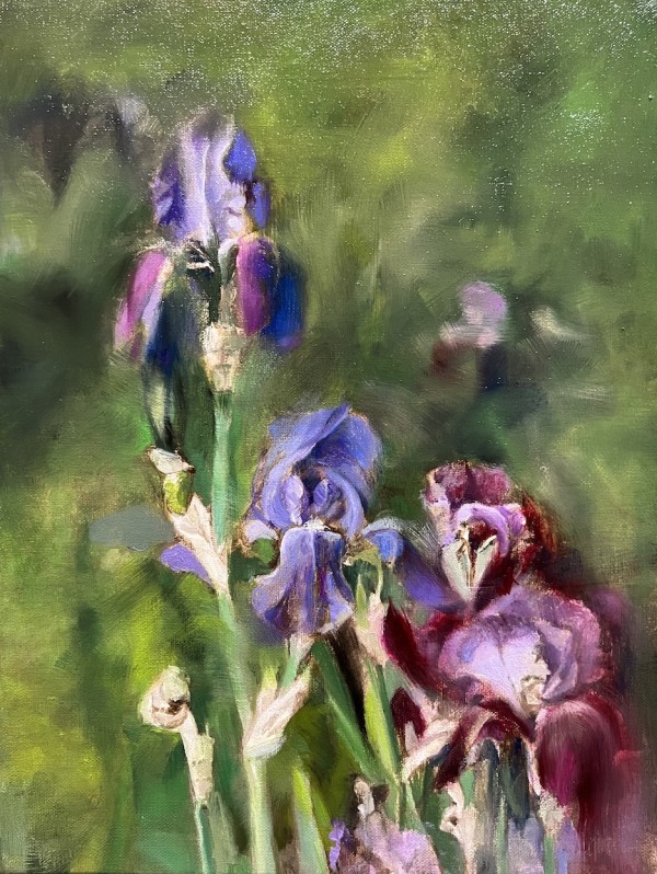 Purple Irises by Hilary Gomes