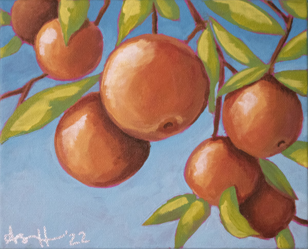 Summer Citrus by Ashley Hilder