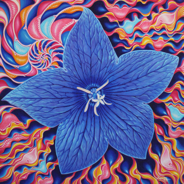 Blue Botanical Star by Kong Ho
